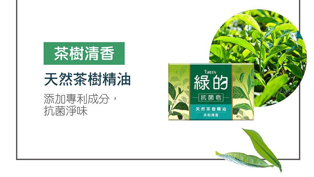綠的green 抗菌皂 純淨清爽 100g 3入 Pchome 24h購物