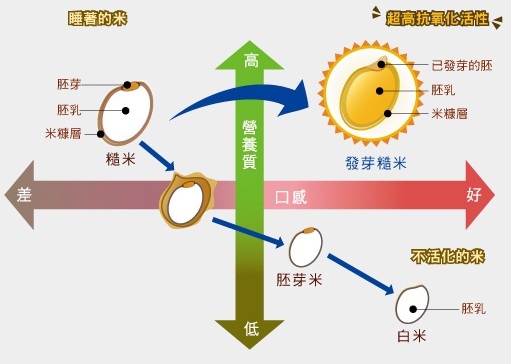 Just Rice 乾式發芽玄米1公斤 Pchome 24h購物