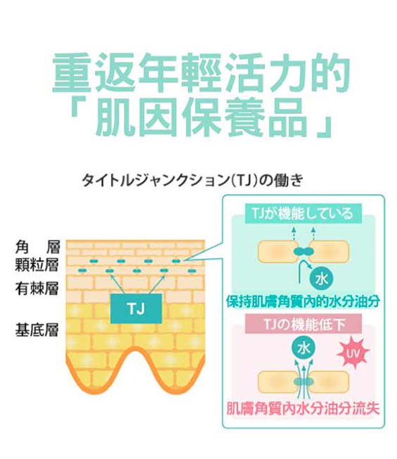 日本原裝 Sonoko White 全效修護晚安水凝膜 80g Pchome 24h購物