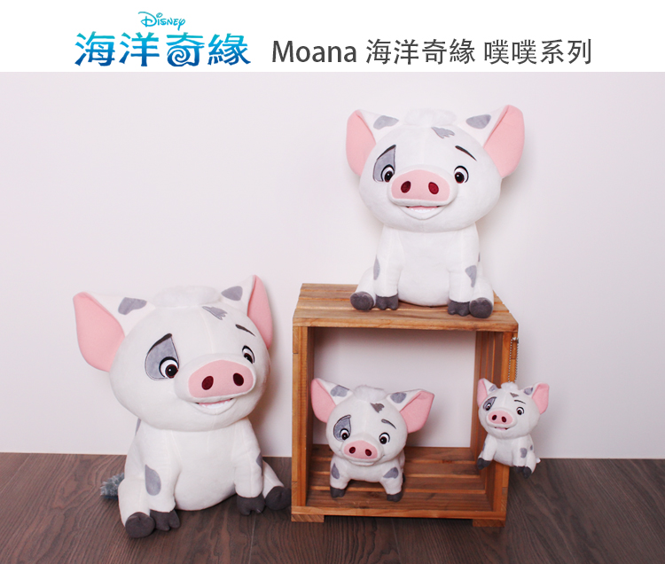 迪士尼正版授權 Moana 海洋奇緣30cm 坐姿豬噗噗 Pchome 24h購物