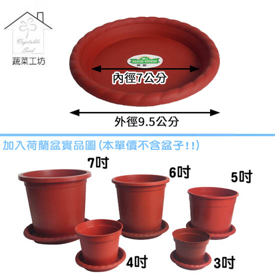 3吋荷蘭盆專用水盤 硬質波紋 2個 組 Pchome 24h購物