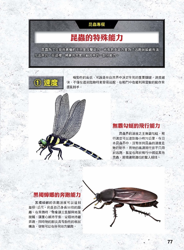 昆蟲 最強王者大圖鑑 Pchome 24h書店