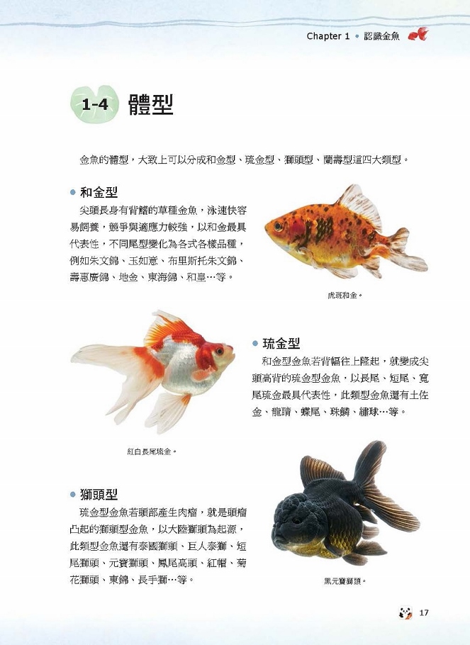 金魚事典 從認識 飼養到觀賞 寵物金魚的綺麗圖鑑 Pchome 24h書店