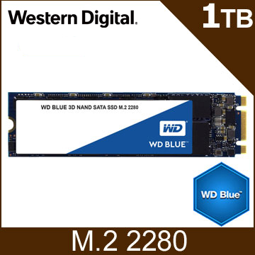 WD SSD 1TB M.2 SATA 3D NAND固態硬碟(藍標)